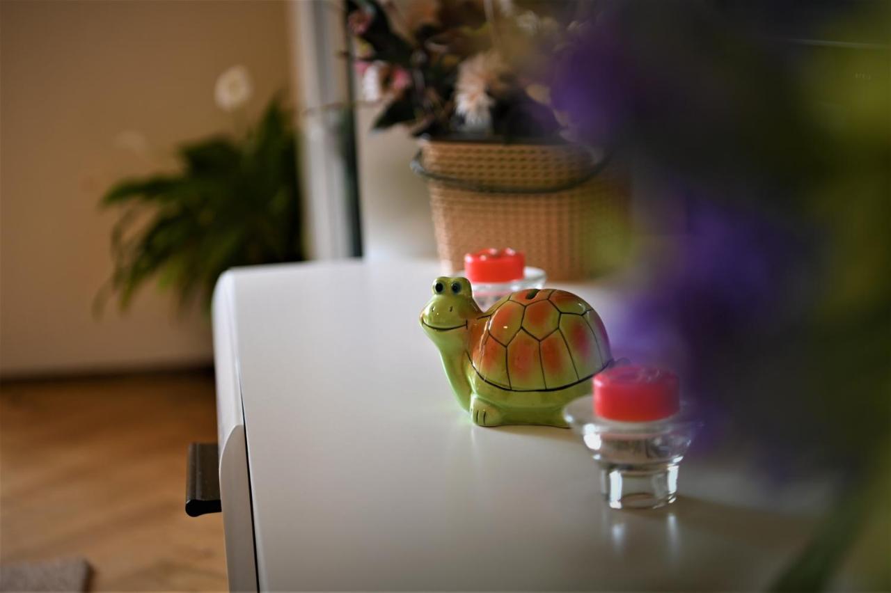 Marin Hotel Apartment Braszów Zewnętrze zdjęcie
